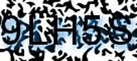 grafischer Sicherheitscode