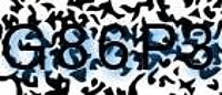 grafischer Sicherheitscode