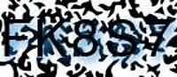 grafischer Sicherheitscode
