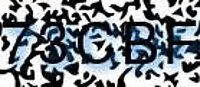 grafischer Sicherheitscode