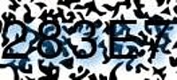 grafischer Sicherheitscode