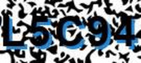 grafischer Sicherheitscode