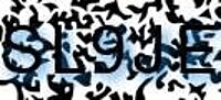 grafischer Sicherheitscode
