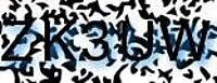 grafischer Sicherheitscode