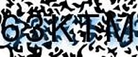 grafischer Sicherheitscode