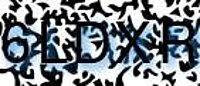 grafischer Sicherheitscode