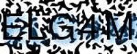 grafischer Sicherheitscode