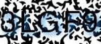 grafischer Sicherheitscode