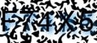 grafischer Sicherheitscode