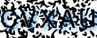 grafischer Sicherheitscode