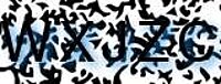 grafischer Sicherheitscode