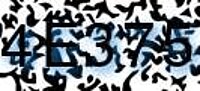 grafischer Sicherheitscode