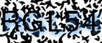 grafischer Sicherheitscode