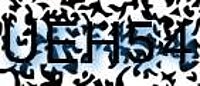 grafischer Sicherheitscode