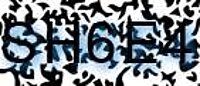 grafischer Sicherheitscode