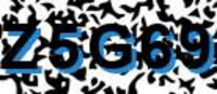 grafischer Sicherheitscode