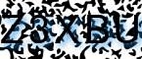 grafischer Sicherheitscode