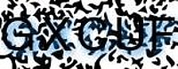 grafischer Sicherheitscode