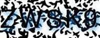 grafischer Sicherheitscode