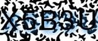 grafischer Sicherheitscode