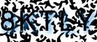 grafischer Sicherheitscode