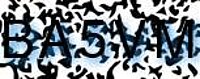 grafischer Sicherheitscode